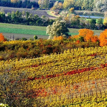 Weingut Breitenfelder 3* Retz