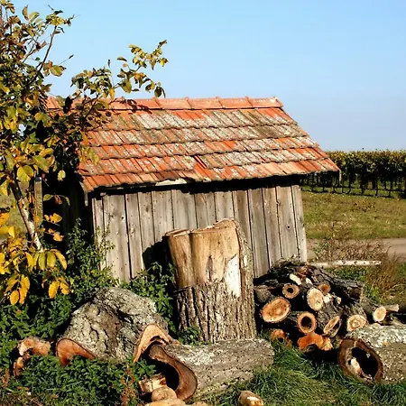 Gæstehus Weingut Breitenfelder Retz