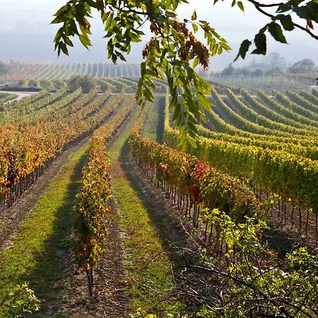 Weingut Breitenfelder Guest house 3*