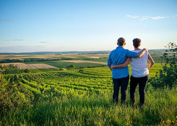 Gæstehus Weingut Breitenfelder