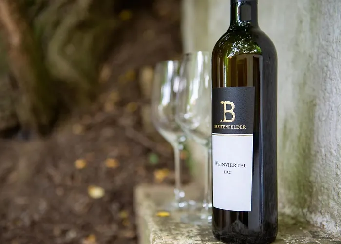 Weingut Breitenfelder Gæstehus 3*