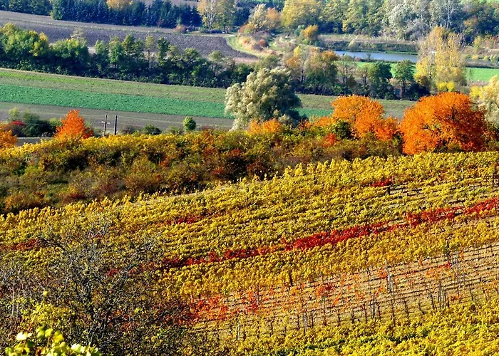 Weingut Breitenfelder 3* Retz