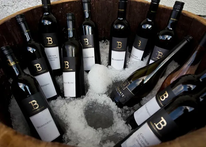 Guest house Weingut Breitenfelder Retz