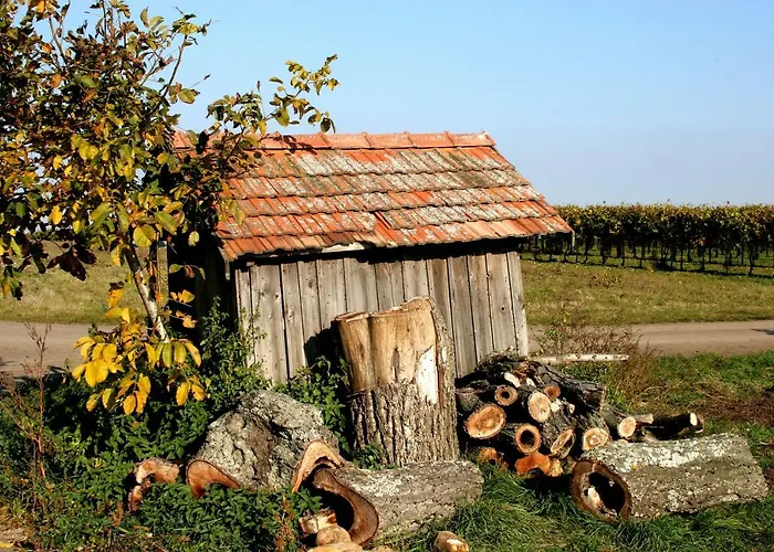 Gæstehus Weingut Breitenfelder Retz