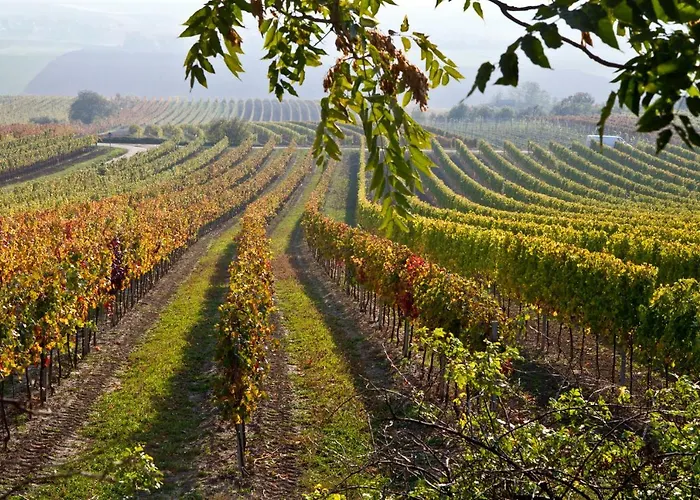 Weingut Breitenfelder Gæstehus 3*