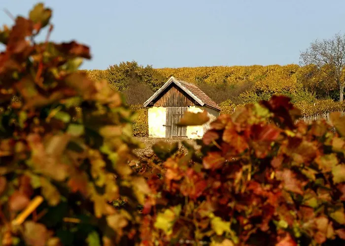 Weingut Breitenfelder